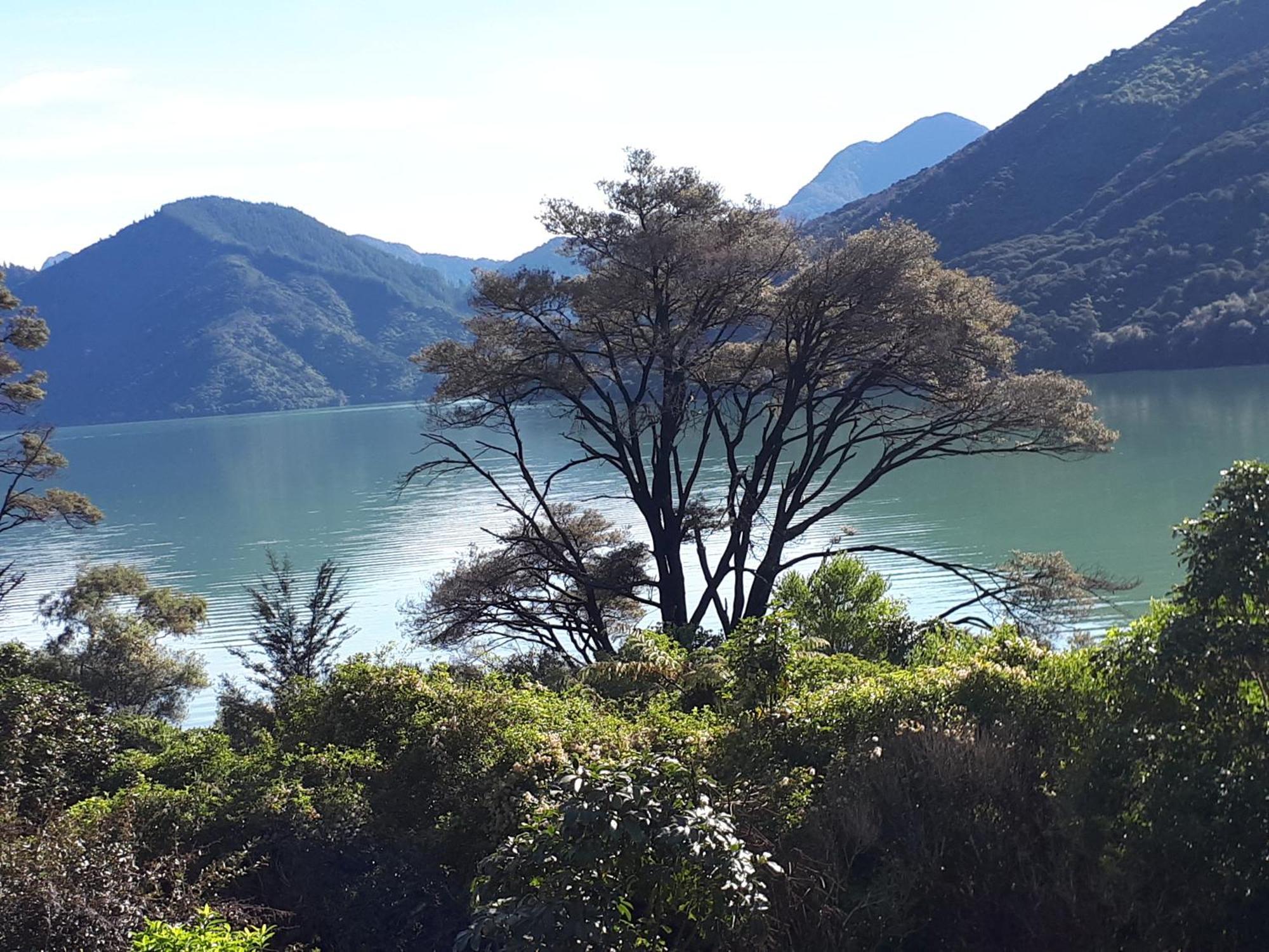 Marlborough Sounds Accommodation Havelock Exteriér fotografie